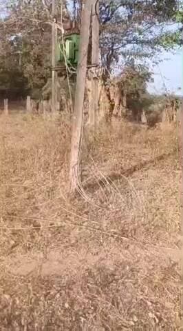 कोंडागांव: कोण्डागांव जिले के दूरस्थ गांव मुंगवाल में दो दिन बाद दूर हुई बिजली समस्या, ग्रामीणों ने ली राहत की सांस