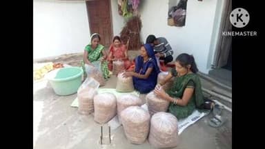 राजिम: ग्राम कसेरुडीह में महिलाओं को मशरूम उत्पादन के लिए दिया जा रहा प्रशिक्षण