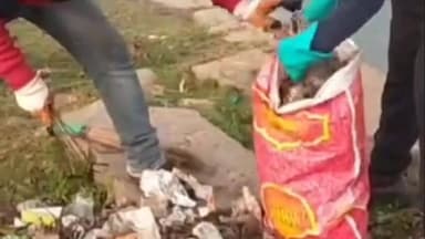 बासोदा: श्रमदान दल ने बेतवा घाट से 12 बोरी कचरा निकाला, स्वच्छता का दिया संदेश