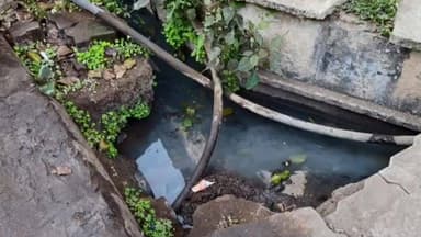 सैलाना: सैलाना विधायक ने दूषित जल आपूर्ति को लेकर परिषद पर लगाए गंभीर आरोप, पाइपलाइन बदलने का भी आरोप