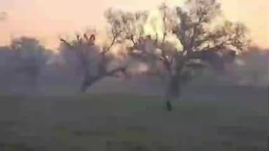 नवलगढ़: नवलगढ़ में कड़ाके की ठंड, खुले में रखा पानी जम गया, वीडियो आया सामने