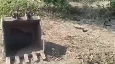 ધાનપુર: તાલુકામાં ખનિજ માફિયા બેફામ સરકારી ખજાનો રાત્રીના સમયે JCB મશીનથી બહાર કાઢી સગેવગે કરતા હોવાનું સામે આવ્યું