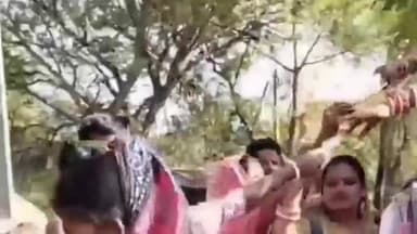 হিঙ্গলগঞ্জ: শিব শীর্ষ পরিবার নামে এক স্বেচ্ছাসেবী সংস্থার উদ্যোগে হিঙ্গলগঞ্জের বিভিন্ন জায়গা দেওয়া হলো শীতবস্ত্র