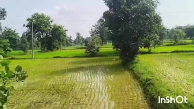 गोंदिया: पीक कर्जासाठी खर्च नाही होणार; मुद्रांक शुल्क माफ १ जानेवारीपासून निर्णयाची अंमलबाजवणी