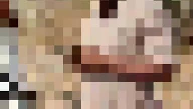 बार्शीटाकळी: विलेगाव फाट्याजवळ भीषण अपघात; भेंडगावच्या शिक्षिकेचा मृत्यू