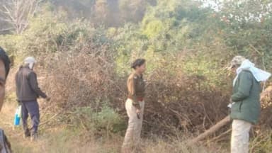 सिमरिया: 'दक्षिण पन्ना' के जांबाज बने शिकारियों के काल, हड़ा और रमपुरा सर्किल के जंगल में बिछाया 'सुरक्षा का जाल'