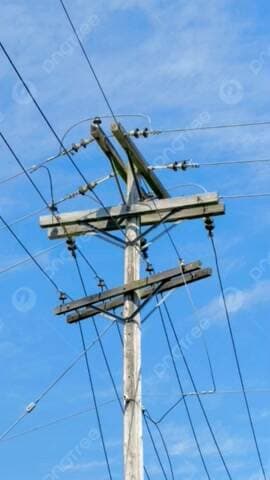 बनमनखी: जानकीनगर फीडर क्षेत्र में कल बिजली सेवा रहेगी बाधित, चलेगा वृक्ष कटाई एवं छठाई का कार्य