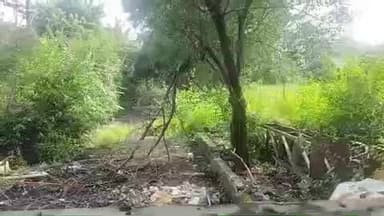 पुणे शहर: पर्यावरण संरक्षणाला शिवसेनेचे सर्वोच्च प्राधान्य.