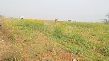 नरवर: ग्राम दिहायला में प्रशासन ने 80 बीघा सरकारी जमीन को अतिक्रमण से मुक्त कराया