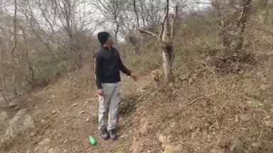 टोड़ी खोहरा पहाड़ी वन क्षेत्र में अवैध धौंक पेड़ों की कटाई की कृषि मंत्री से की शिकायत, वन टीम आई हरकत में