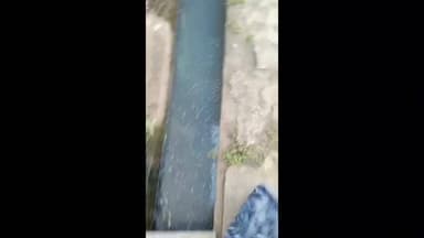 दिग्रस: शहरातील प्रभाग क्र. ६ मध्ये नाल्यांची दुर्दशा, पालिका व लोकप्रतिनिधींच्या दुर्लक्षाचा आरोप