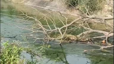 કરજણ: તંત્રના પાપે પરિક્રમાવાસીઓ પરેશાન