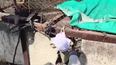 बागली: बागली तहसील के चापड़ा में दूषित पानी से बच्चों के बीमार होने पर स्कूल का कुआँ किया गया बंद