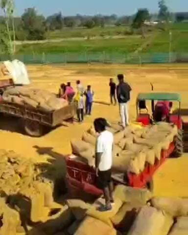 पखांजूर: धान पंजीयन की समय सीमा बढ़ने से किसान अधिक मात्रा में ट्रैक्टर भरकर पहुंच रहे धान खरीदी केंद्र