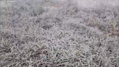 जशपुर: जशपुर में शीत लहर का कहर, सन्ना पठारी में जमी बर्फ, तापमान 2 डिग्री तक गिरा