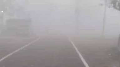 मैनाटांड़: घने कोहरे से दृश्यता हुई कम, वाहनों को लाइट जलाकर चलने की सलाह