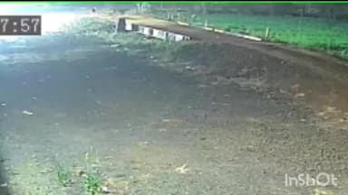 गुलाबगंज: हथियाखेड़ा और आसपास के क्षेत्र में बाघ दिखने से वन विभाग पुलिस अलर्ट, डीएफओ ने मौके पर पहुंचकर किया सतर्क