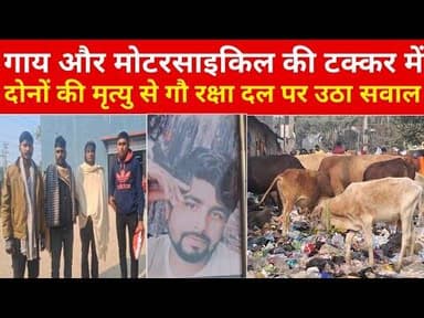 गाय और मोटरसाइकिल की टक्कर में, मोटरसाइकिल और गाय की हुई मृ#त्यु ने गौ रक्षा दल पर उठाया सवाल