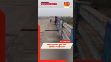 পর্যটকদের বাড়তি পাওনা দেখা মিললো কুমির।###