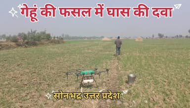 गेहूं के फसल में घास की दवा छिड़काव करते हुए!
#किसान_का_बेटा_जमीनी_नेता
#राष्ट्रीय_सचिव #समाजवादी_लोहिया_वाहिनी
#विवेक_सिंह_पटेल #संघर्ष_जिन्दाबाद