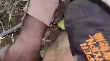 हरदा: उड़ा गांव के पास फोरलेन हाइवे पर अज्ञात वाहन ने युवक को मारी टक्कर, युवक की मौत