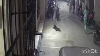 अंबरनाथ: थर्टी फर्स्टच्या पार्टीच्या खर्चावरून एका तरुणाला जमावाने केली बेदम मारहाण, घटना सीसीटीव्हीत कैद