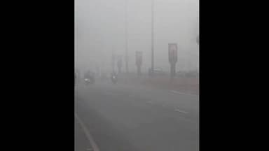 बिलारी: मुरादाबाद में घना कोहरा, गलन बढ़ी, सर्द हवाएं परेशान कर रही हैं, कई ट्रेनें लेट