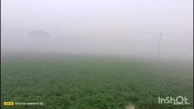 शिकारपुर: पहासू ब्लॉक क्षेत्र में सूखी बर्फ गिरने से फसलों को भारी नुकसान की आशंका