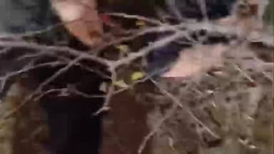 हरदा: ग्राम उड़ा में इंदौर-बैतूल हाईवे के पास अज्ञात वाहन ने बाइक को टक्कर मारी, मौके पर हुई मौत