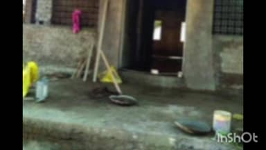 सिंदेवाही: वनविभागाच्या जागेवर ग्रामपंचायत भवनाचे बांधकाम,अनधिकृत बांधकामाच्या चौकशीची मागणी