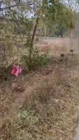 ಆನೆಕಾಡು ಬಳಿ ನಿಯಂತ್ರಣ ತಪ್ಪಿ ಚರಂಡಿಗೆ ಬಿದ್ದ ಕಾರು