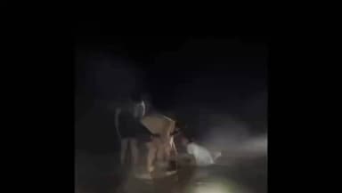 ਫਾਜ਼ਿਲਕਾ: ਫ਼ਾਜ਼ਿਲਕਾ ਮਲੋਟ ਹਾਈਵੇ ਤੇ ਨਹਿਰ ਵਿੱਚ ਡਿੱਗੀ ਕਾਰ, ਦੋ ਦੀ ਮੌਤ, ਇੱਕ ਦਾ ਬਚਾਅ