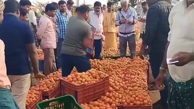 పత్తికొండ: పత్తికొండ వ్యవసాయ మార్కెట్లో తగ్గిన టమోటా ధరలు ఇబ్బంది పడుతున్నారు రైతులు