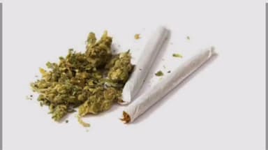 திருச்சி: பாலக்கரை உள்ளிட்ட 2 இடங்களில் கஞ்சா மற்றும் போதை மாத்திரை விற்பனை செய்தவர்கள் அதிரடியாக கைது மாநகர காவல் துறை நடவடிக்கை