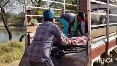 गुरूर: ग्राम अरमरीकला में 22 वर्षीय युवक का शव फांसी के फंदे पर लटका मिला, पुलिस जांच में जुटी