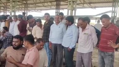 पोलायकलां: पोलाय कला मंडी में प्याज-लहसुन के भाव गिरे, नई प्याज ₹900-1800, पुरानी प्याज ₹800-1100 प्रति क्विंटल बिकी