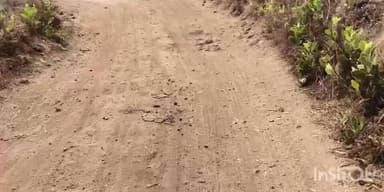 रत्नागिरी: रत्नागिरीतील रस्त्यांवरील खड्डे संदर्भात जनहित याचिका दाखल