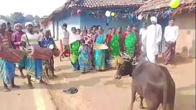 दुमका: सदर प्रखंड के लेटो और धतिकबोना गांव में सोहराय पर्व के तीसरे दिन खूंटव माह का आयोजन