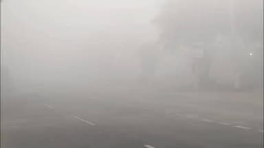 जींद: मौसम विभाग के अनुसार जींद जिले में पाला पड़ने की संभावना