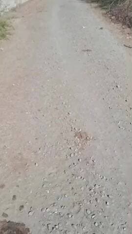 ઓખામંડળ: દ્વારકાના રાજપરા ગામે બનેલ સીસી રોડ દોઢ વર્ષમાં ખખડધજ બનતા જાગૃત યુવાન દ્વારા વિડિઓ શેર કરાયો....