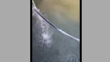 भीकनगांव: ऊन बुजुर्ग क्षेत्र में दूषित पेयजल आपूर्ति की शिकायत, कई दिनों से आ रहा गंदा पानी