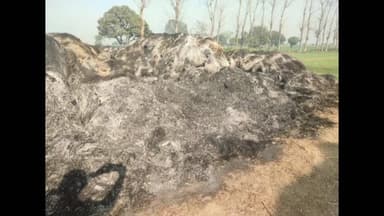 खेकड़ा: रटौल कस्बे में धान की पराली में लगी आग, किसान को हुआ लाखों का नुकसान