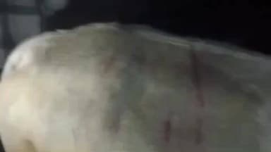 जैतहरी: हिंसक वन्यप्राणी का तांडव: जैतहरी के रोहिलाकछार गांव में गाय पर हमला, गांव में मचाया उत्पात