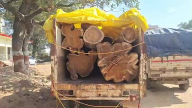 पत्थलगांव: पत्थलगांव के पंगसुवा में अवैध लकड़ी परिवहन का हुआ खुलासा, शीशे जैसी इमारती लकड़ी की गई जब्त