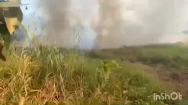 കാർത്തികപ്പള്ളി: കുമാരപുരത്ത് തരിശു പാടത്ത് തീ പിടിച്ചു