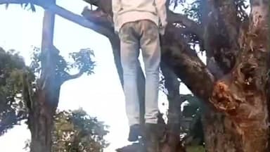 आमला: खेड़लीबाजार में आम के पेड़ पर लटका मिला युवक का शव, पत्नी के ससुराल न जाने से उठाया कदम