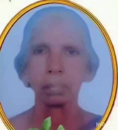 ചേർത്തല: തൈക്കാട്ടുശേരിയിൽ സ്വകാര്യ ബസ്സിടിച്ച് പരിക്കേറ്റ് ചികിത്സയിലായിരുന്ന വയോധിക മരിച്ചു