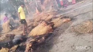 मसलिया: मसलिया थाना क्षेत्र के सिरमाकाजल गांव में खलिहान में आग लगने से चार बीघा धान जलकर राख