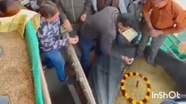 गुना नगर: नानाखेड़ी मंडी में नई धनिया की आवक, विधि विधान से पूजन कर नीलामी शुरू, ₹10,011 प्रति कुंटल बिका