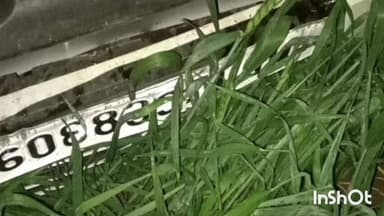 मल्हारगढ़: नारायणगढ़ थाना क्षेत्र में अनियंत्रित कार क्षतिग्रस्त, कार में बैठे यात्री सुरक्षित, चंद्रपुर गांव में हुआ हादसा